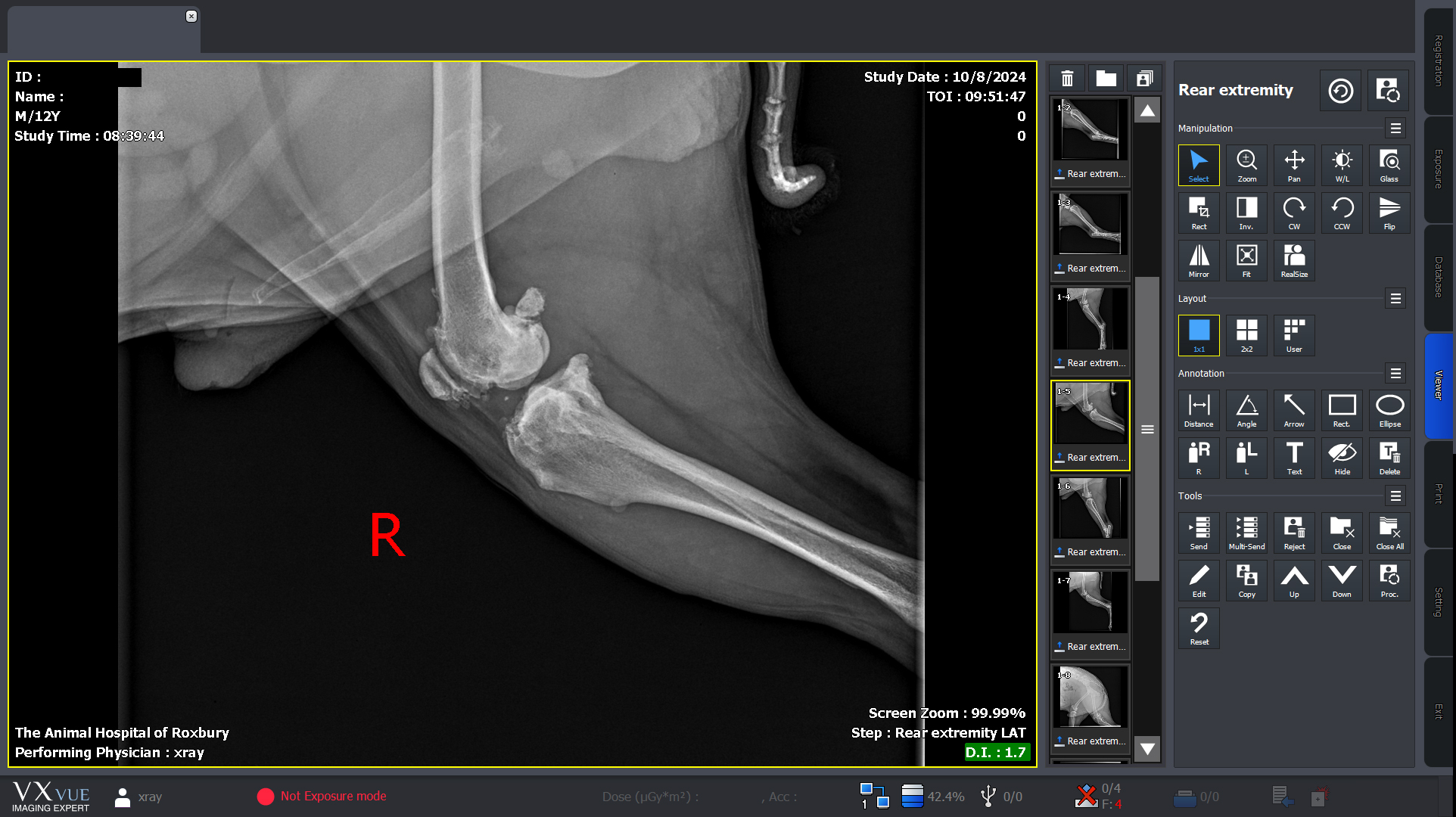 Dog Knee Radiograph