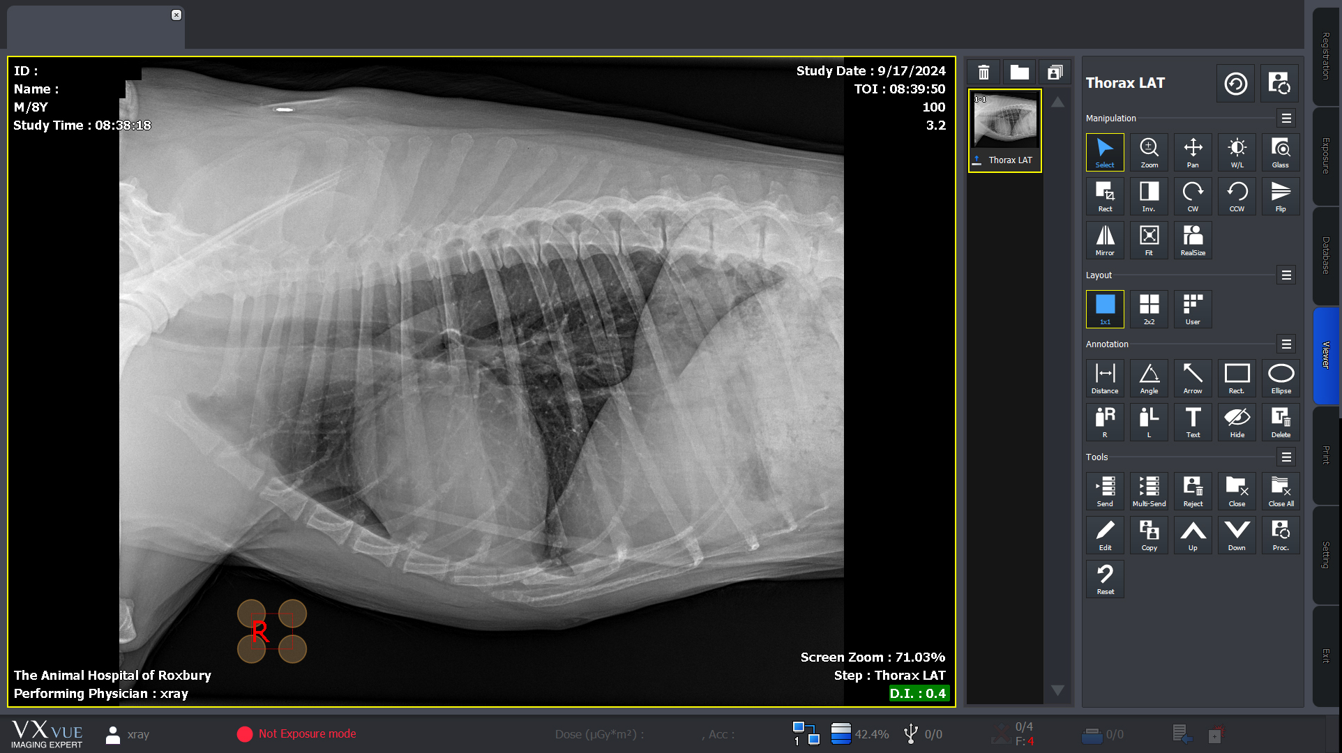 Dog Thoracic Radiograph