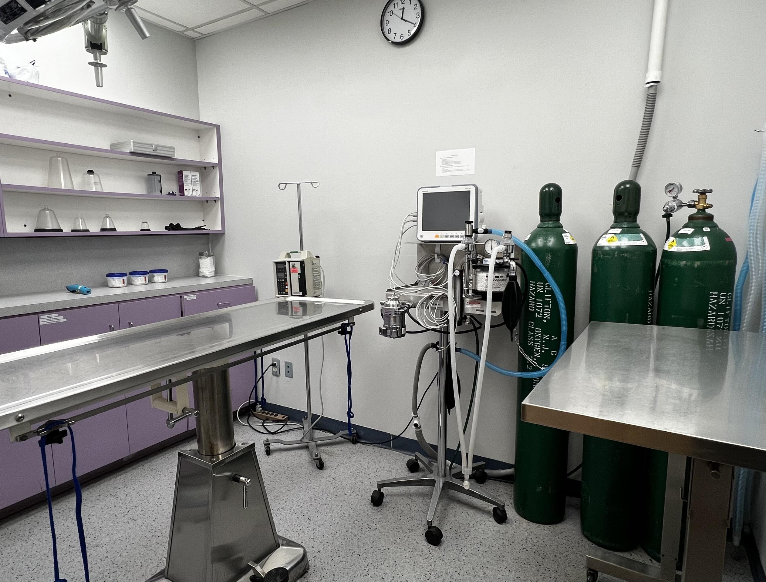 Surgical Suite