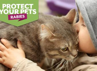 Keep your pets protected from Rabies!