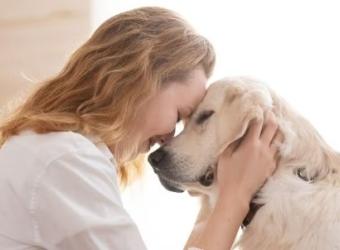 Tiny Chip, Big Protection: Why Microchipping Your Pet Matters